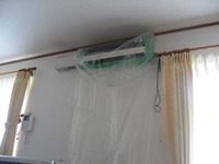 d100701.jpg