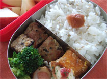 20090316.jpg